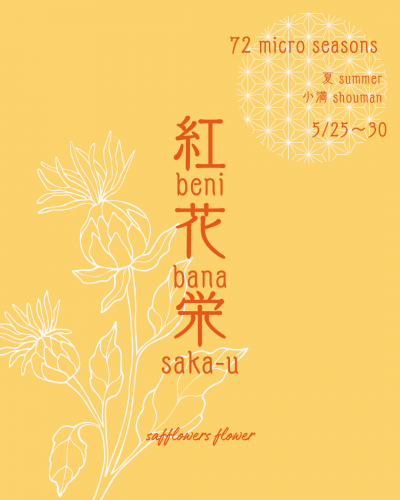 a971b501b6ce40bda33fd03ace18e112