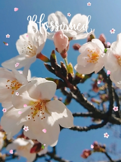 f0ef802057674c7da30db48e74c9b1b6