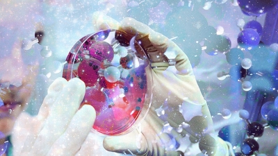 944049_149159382131417_5876178476344785312_n_file