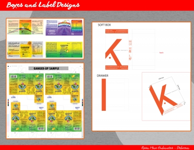Boxes_and_Label_file
